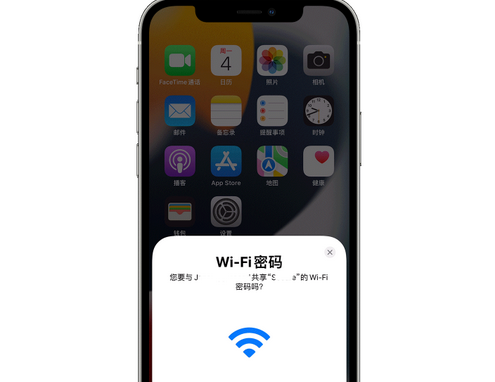 芦淞苹果15维修店分享iPhone15如何共享Wi-Fi密码 