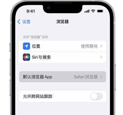 芦淞苹果手机维修店分享如何在iPhone上设置默认浏览器 