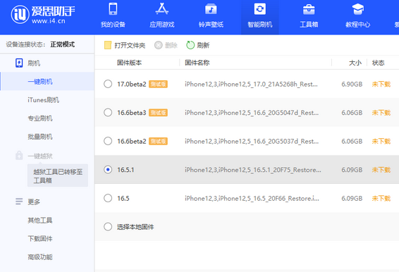 芦淞苹果售后维修分享iPhone提示无法检查更新怎么办